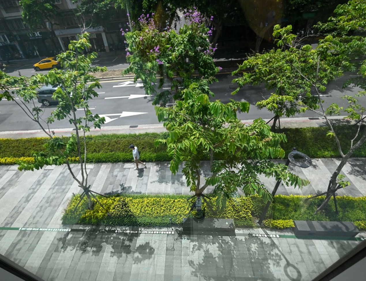 高 树 零 - beejayentertainments.co.uk.